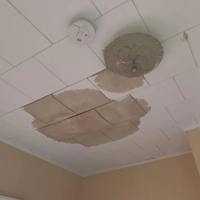 Ceiling Water Damage Repair in Chelmsford, MA