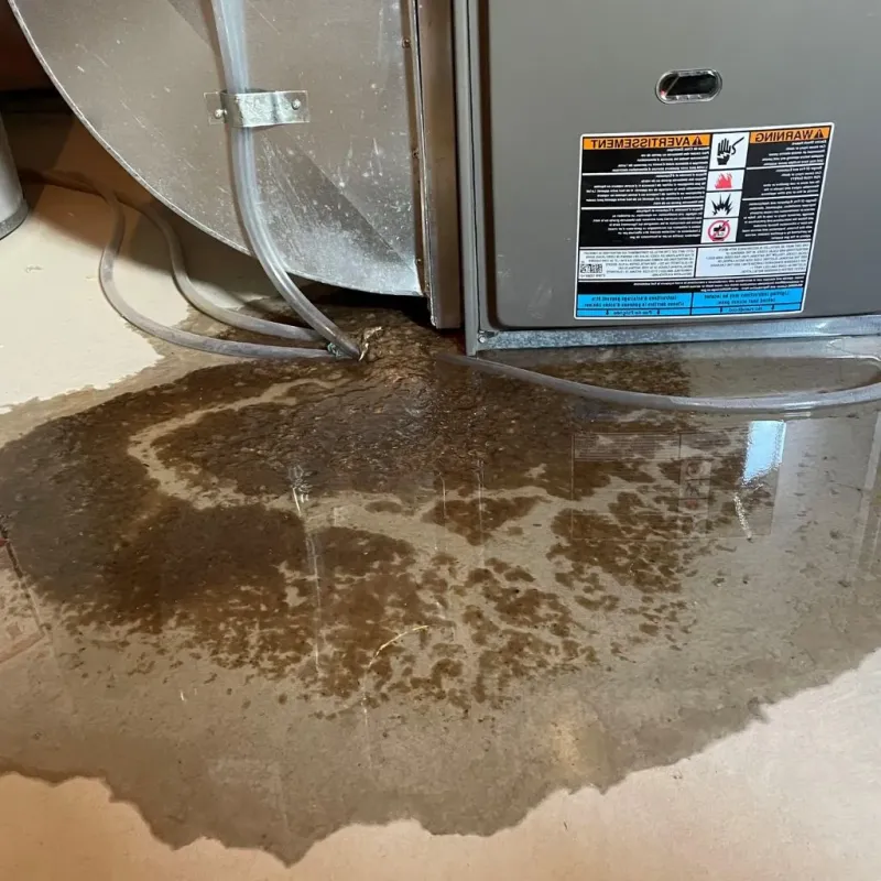Pipe Burst and Leak Restoration in Chelmsford, MA